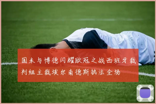 国米与博德闪耀欧冠之战西班牙裁判组主裁埃尔南德斯执法全场